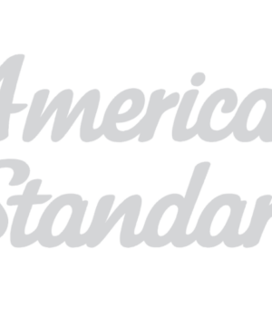 American Standard Flat Bidet Shield